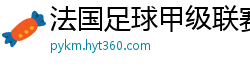 法国足球甲级联赛